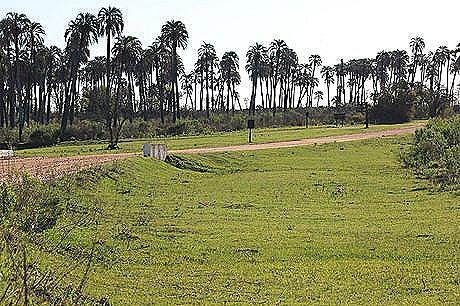 Parque Nacional El Palmar