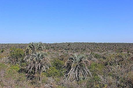 Parque Nacional El Palmar - Foto 11