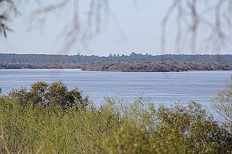 Parque Nacional El Palmar - Foto 13