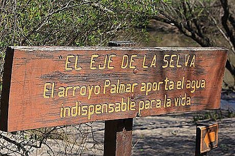 Parque Nacional El Palmar - Foto 7