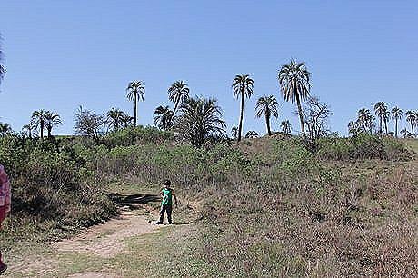 Parque Nacional El Palmar - Foto 9