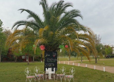 La Finca - Foto 3