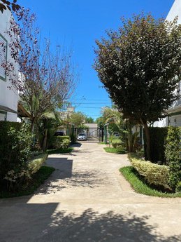 Sueño Verde Colón - Foto 4