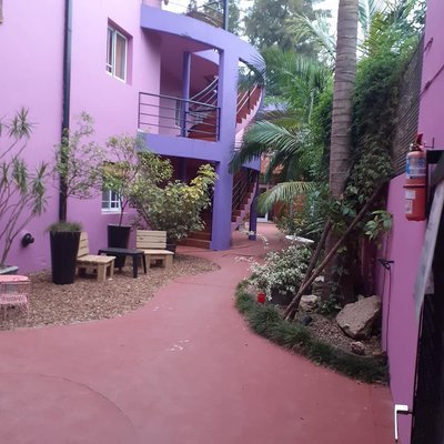 Mis Amigos - Foto 2
