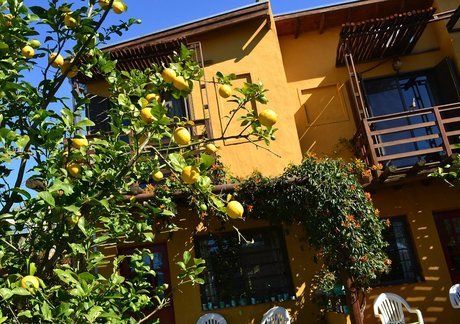 Yataí Casas - Foto 10