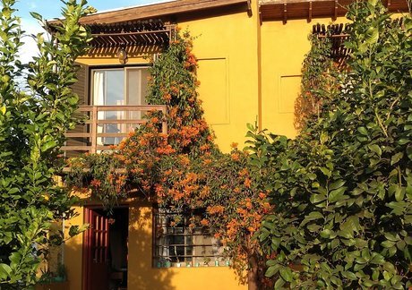 Yataí Casas - Foto 12