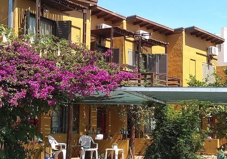 Yataí Casas - Foto 14