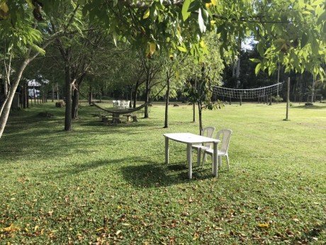 Entre Verde, El Bosque Colón  - Foto 12