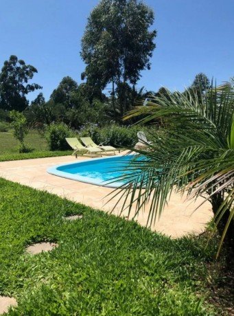 Entre Verde, El Bosque Colón  - Foto 7