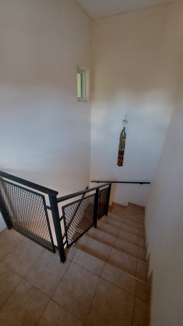 Casa Lima - Foto 7