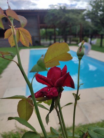 El Mangrullo Cabañas de Campo - Foto 6