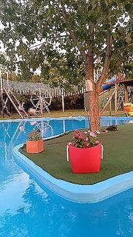 Don Merencho - Foto 3