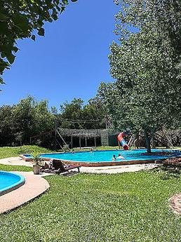 Don Merencho - Foto 4