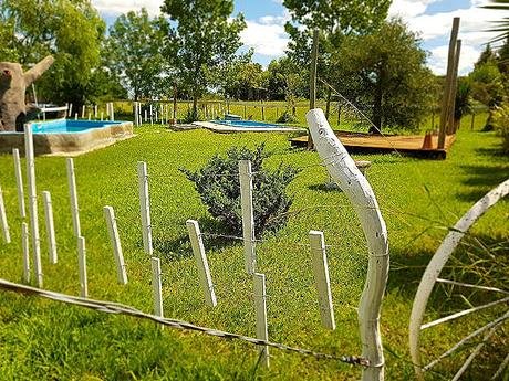 Don Merencho - Foto 6