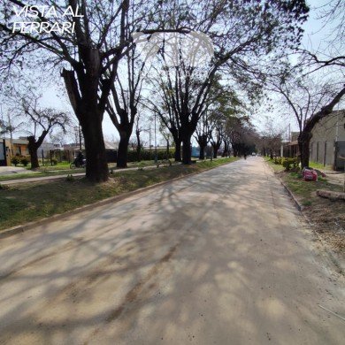 Foto 8