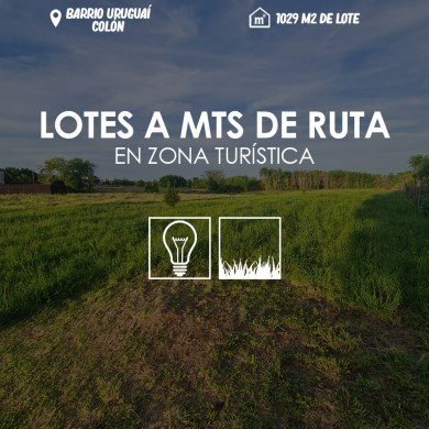 Lote en calle Ceibo, casi Uruguai- Colon ER